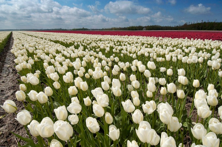 • Date: 27-04-05 Time: 11:48:47