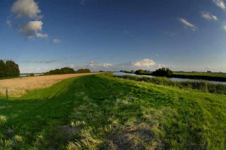• Munnekezijlsterried 4 augustus 2005, 20:20 uur