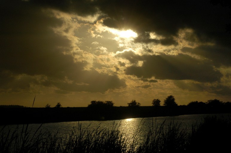 • Munnekezijlsterried 4 augustus 2005, 20:33 uur