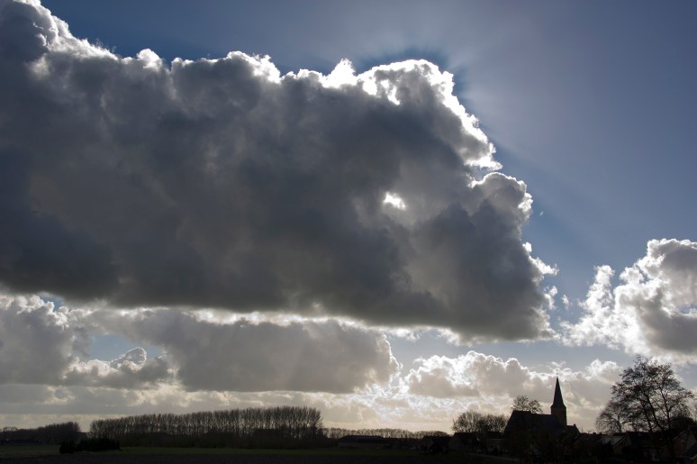 • Gellicum 21 februari 2014, 14:19 uur