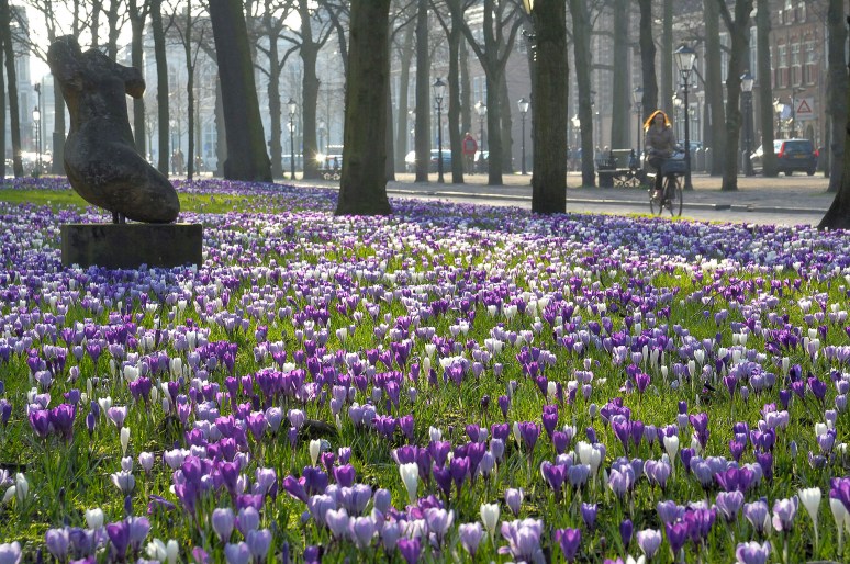 • March 3, 2014 Time: 16:37:16