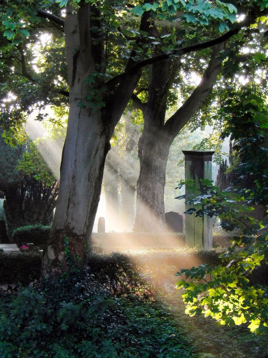 • The Hague, Begraafplaats (Cemetery) Nieuw Eykenduynen august 4, 2014.